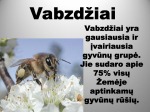 Vabzdžiai ir vabalai skaidrės 2