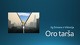 Oro tarša projektas (3) 