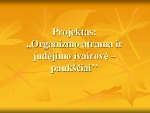 Organizmo atrama ir judėjimo įvairovė – paukščiai 1