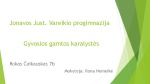 Gyvosios gamtos karalystės projektas 1