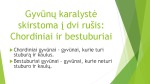 Gyvosios gamtos karalystės projektas 3