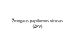 Žmogaus papilomos virusas (ŽPV) (2) 1