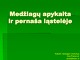 Medžiagų apykaita ir pernaša ląstelėje projektas