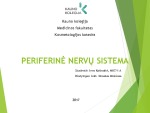 Periferinė nervų sistema projektas (2) 1