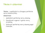 Periferinė nervų sistema projektas (2) 2