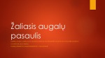 Žaliasis augalų pasaulis 1