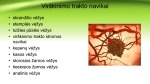 Virškinimo trakto vėžiniai susirgimai 3