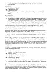 Anatomija: kaulai ir raumenys 3