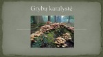 Grybų karalystė projektas 1