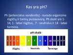pH pusiausvyra organizme 3