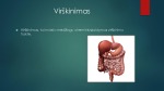 Virškinimo sutrikimai 2