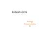 Rudasis lokys