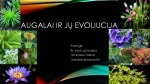Augalai ir jų evoliucija 1