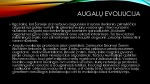 Augalai ir jų evoliucija 3