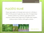Pluoštiniai augalai skaidrės 2