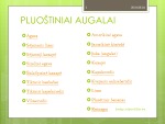 Pluoštiniai augalai skaidrės 3