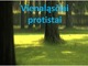 Vienaląsčiai protistai
