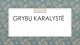 Prezentacija apie grybų karalystę