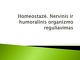 Homeostazė projektas