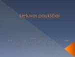 Lietuvos paukščiai projektas 1