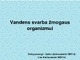 Vandens svarba žmogaus organizmui
