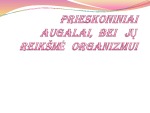 Prieskoniniai augalai ir jų reikšmė 1