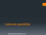 Lietuvos paukščiai prezentacija 1