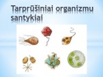 Tarprūšiniai organizmų santykiai 1