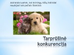 Tarprūšiniai organizmų santykiai 3