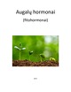 Fitohormonai - augalų hormonai