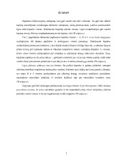 Virusinis A hepatitas 2