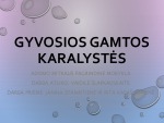 Gyvosios gamtos karalystės skaidrės 1