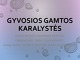 Gyvosios gamtos karalystės skaidrės