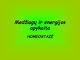 Medžiagų ir energijos apykaita: homeostazė