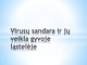 Virusai ir jų veikla gyvoje ląstelėje
