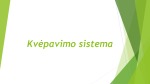 Kvėpavimo sistemos elementai 1