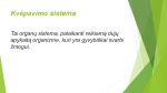 Kvėpavimo sistemos elementai 2