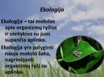 Ekologinės problemos skaidrės 2