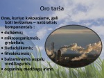 Ekologinės problemos skaidrės 3