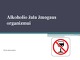 Alkoholio žala žmogaus organizmui projektas