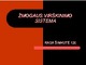 Žmogaus virškinimo sistema skaidrės
