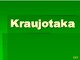 Kraujotaka skaidrės