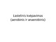 Lastelinis kvėpavimasaerobinis ir anaerobinis