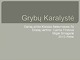 Grybų karalystė: rūšys, mityba, dauginimasis 