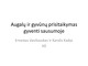 Augalų ir gyvūnų prisitaikymas gyventi sausumoje