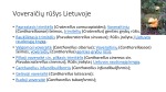Grybų rūšys Lietuvoje 3