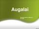 Augalai: požymiai, paplitimas, augalų klasifikacija, nauda 