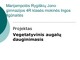 Vegetatyvinis augalų dauginimasis