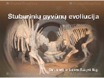 Stuburinių gyvūnų evoliucija 1