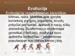 Stuburinių gyvūnų evoliucija 3